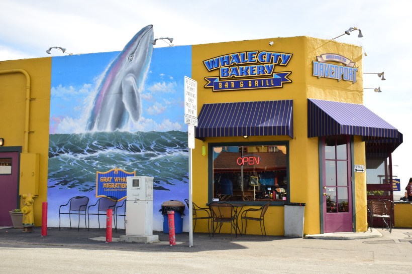 Whale City Bakery
