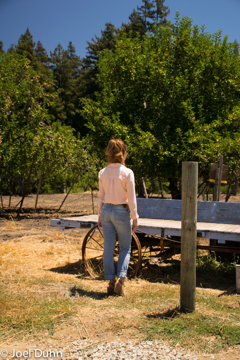 American Apparel Top