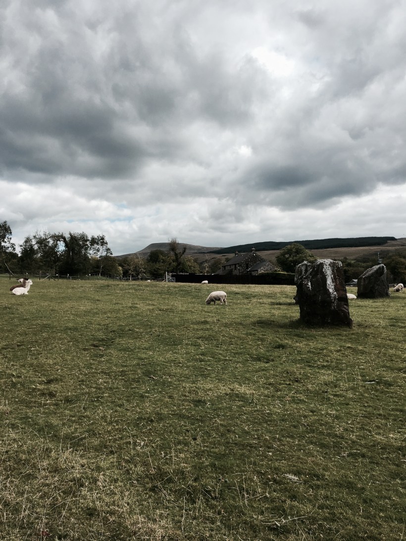 national showcase wales, travel