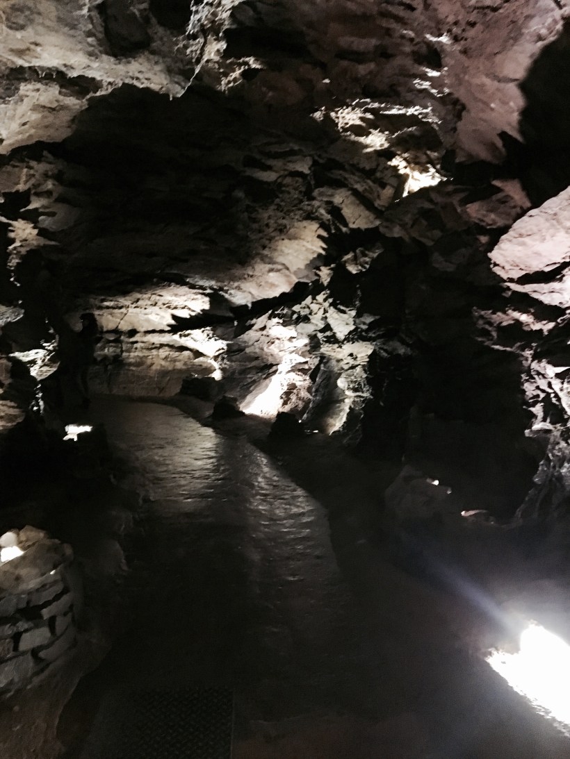 national showcase wales, travel