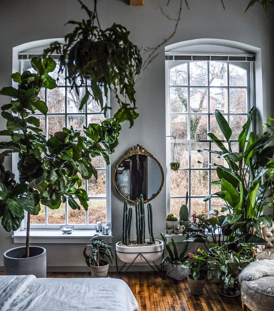 spring, decor, plants, homes, green, april