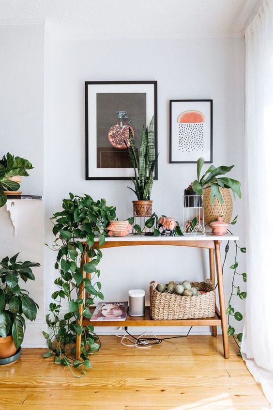 spring, decor, plants, homes, green, april