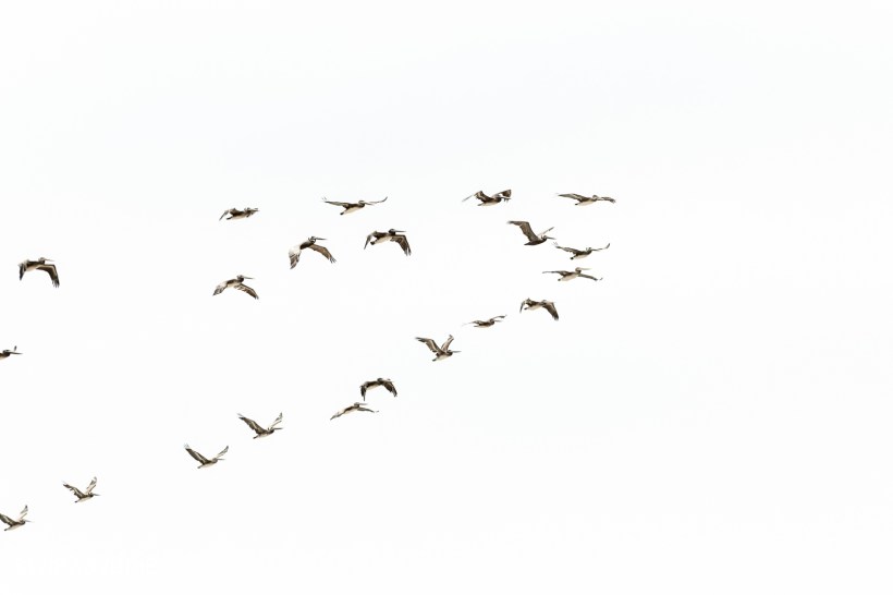 4th of July, Red Lips, Summer Style